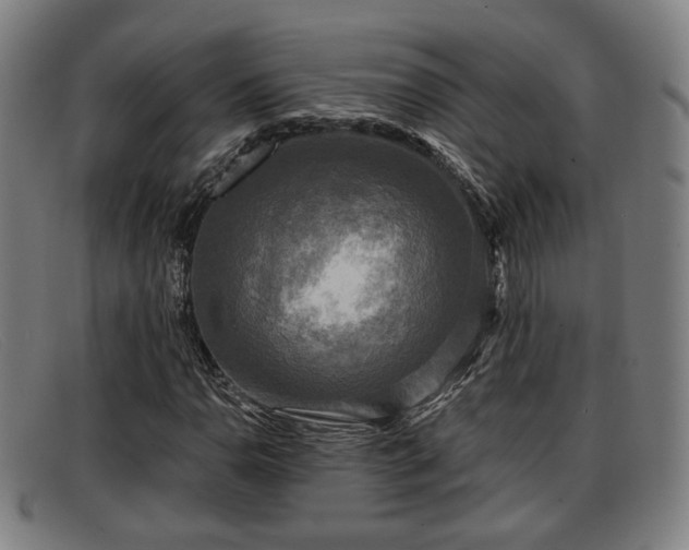 X0000091851110200709121305