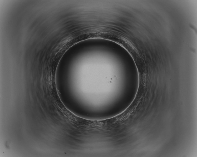 X0000091851111200709121305