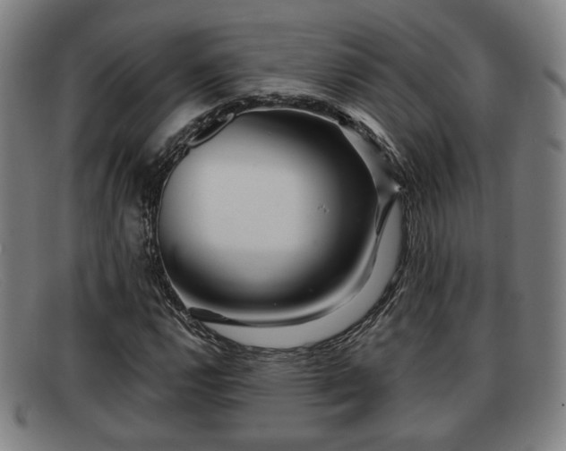X0000091851112200709121305