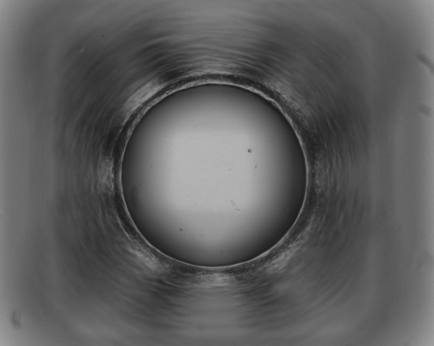 X0000091851113200709121305