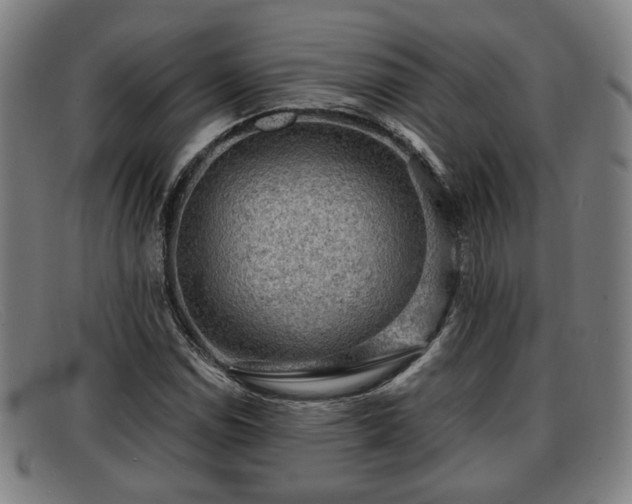 X0000091851114200709121305