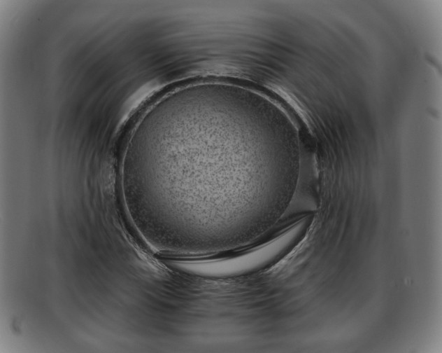 X0000091851115200709121305