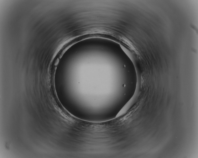 X0000091851116200709121305
