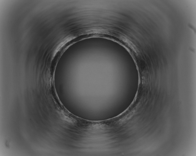 X0000091851117200709121305