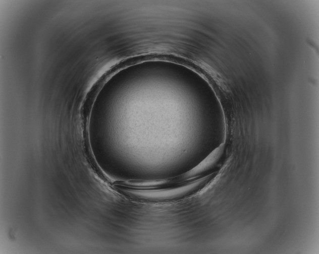 X0000091851118200709121305