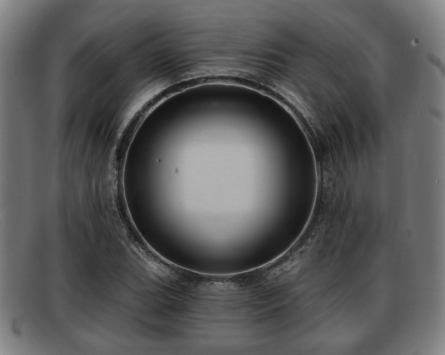 X0000091851119200709121305
