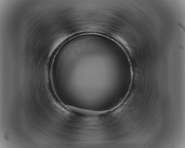 X0000091851120200709121305