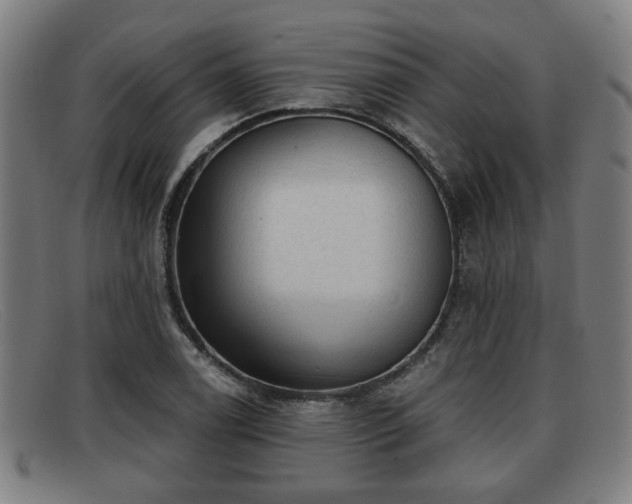 X0000091851122200709121305