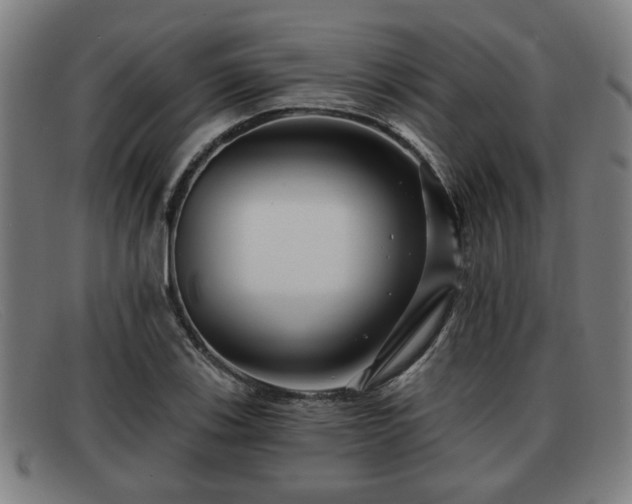 X0000091851123200709121305