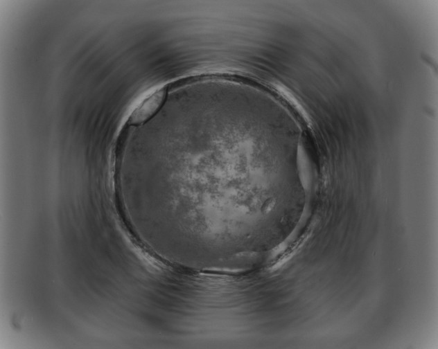 X0000091851124200709121305