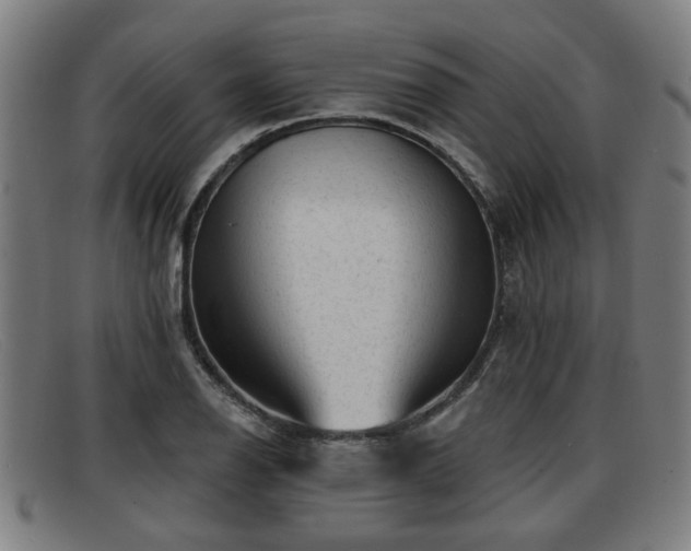 X0000091851126200709121305