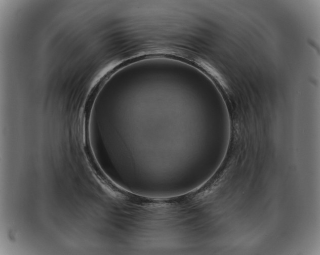 X0000091851127200709121305