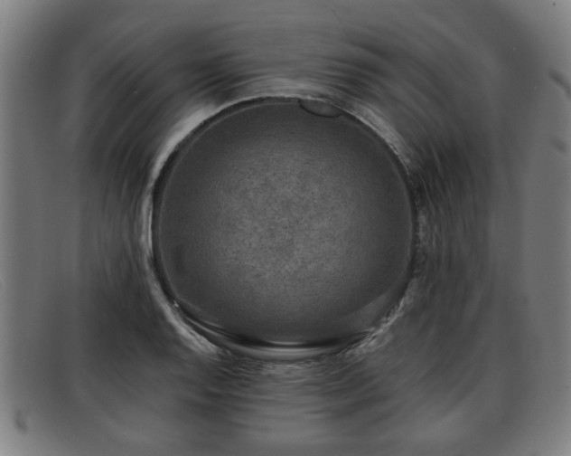 X0000091851128200709121305