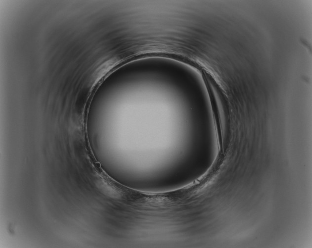 X0000091851129200709121305