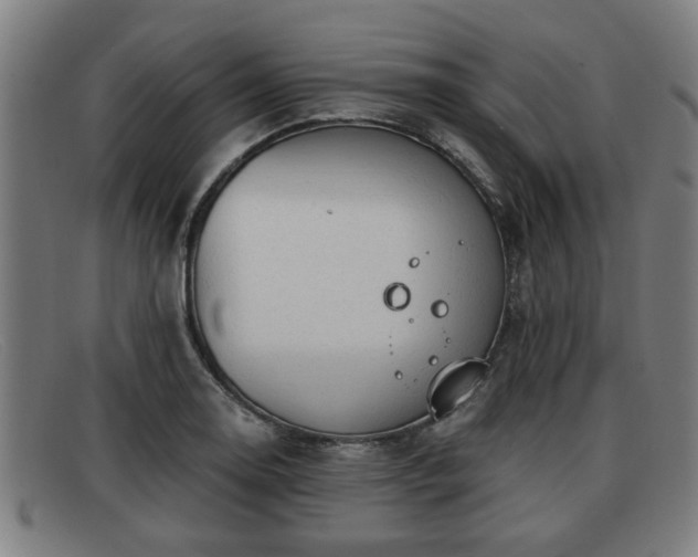 X0000091851130200709121305
