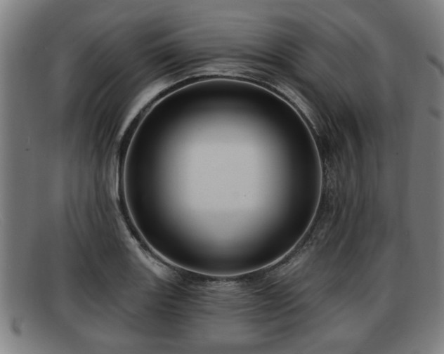 X0000091851131200709121305