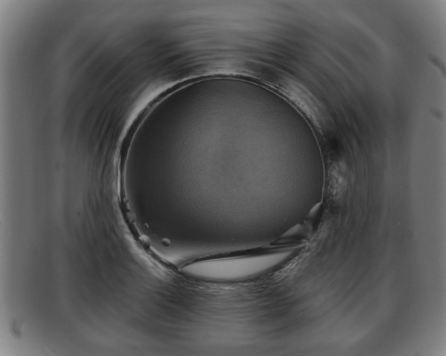 X0000091851132200709121305