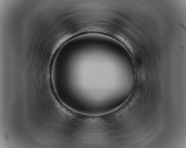 X0000091851133200709121305