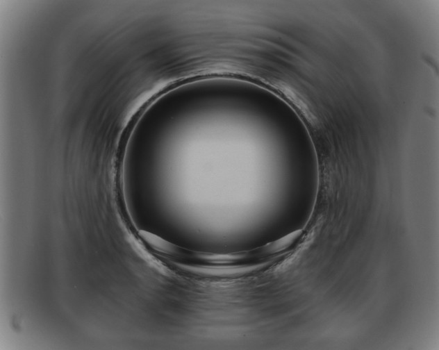 X0000091851134200709121305
