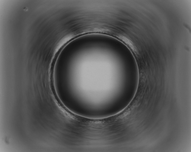 X0000091851135200709121305