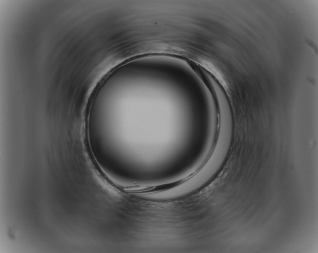 X0000091851136200709121305