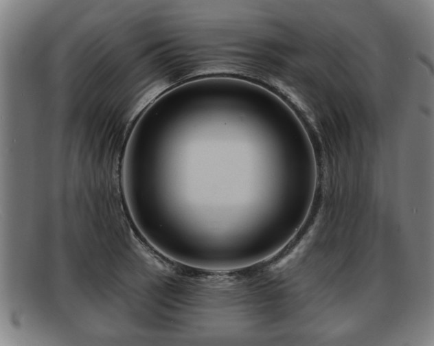 X0000091851137200709121305