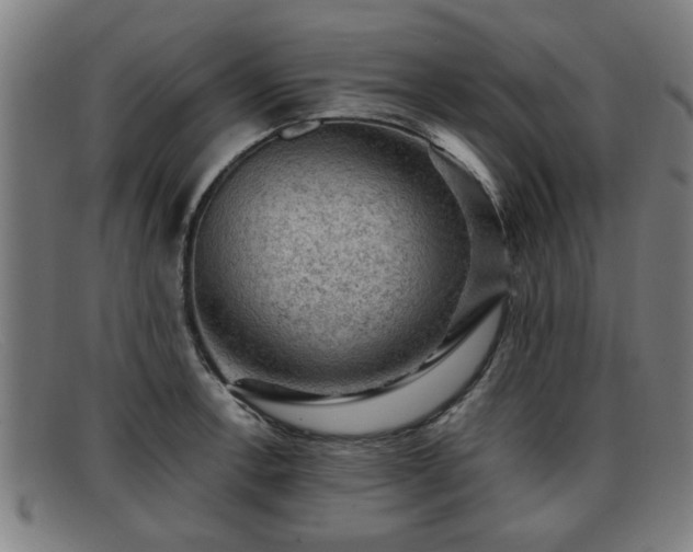 X0000091851138200709121305