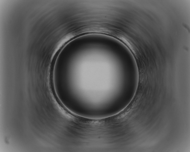 X0000091851139200709121305