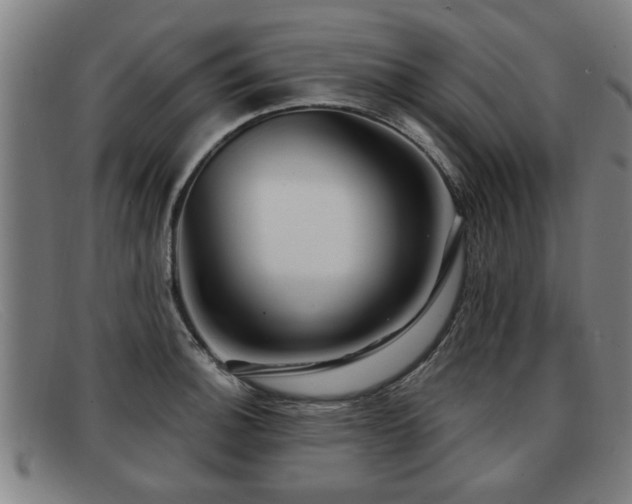 X0000091851140200709121305