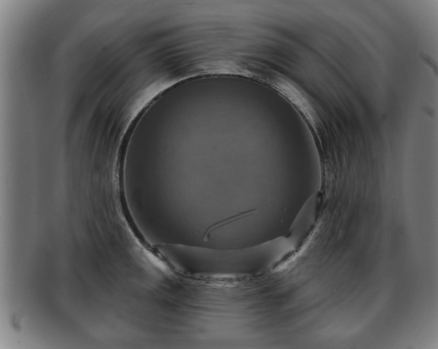 X0000091851141200709121305