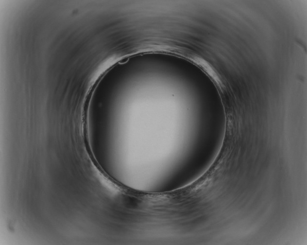 X0000091851143200709121305