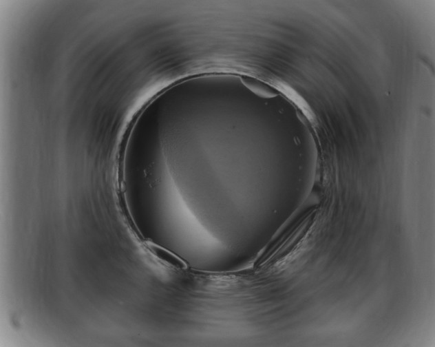 X0000091851144200709121305