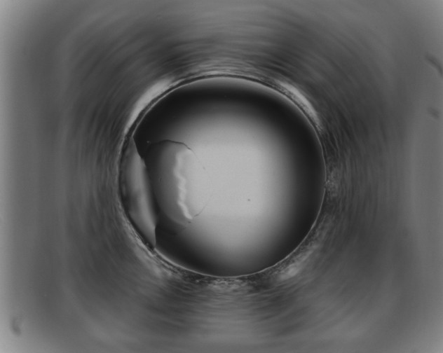 X0000091851146200709121305