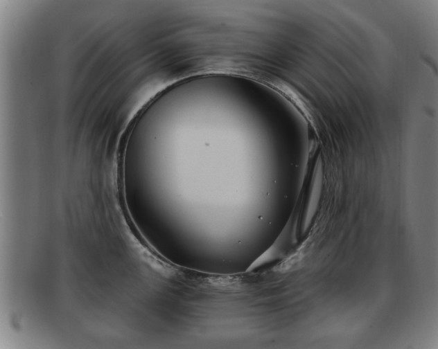 X0000091851147200709121305