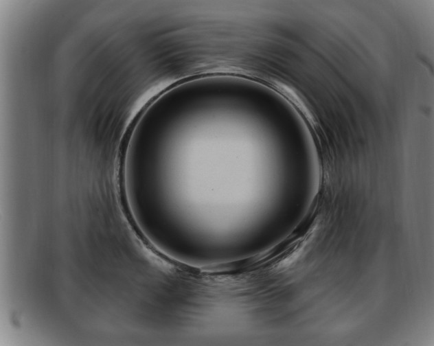 X0000091851149200709121305