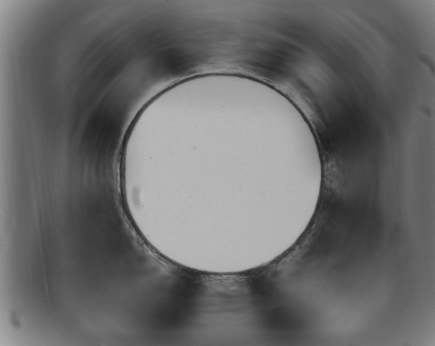 X0000091851150200709121305