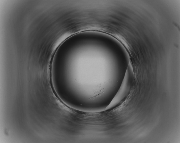 X0000091851151200709121305