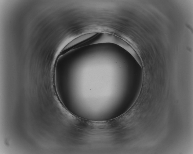 X0000091851152200709121305