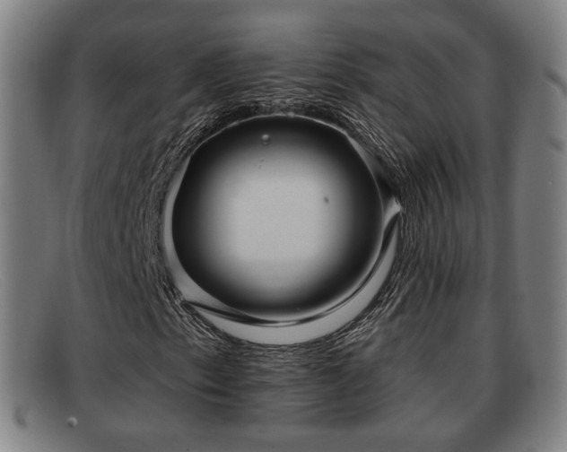 X0000091851153200709121305