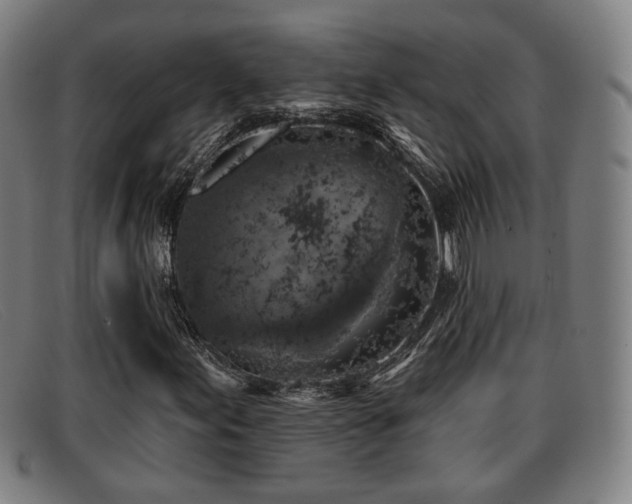 X0000091851155200709121305