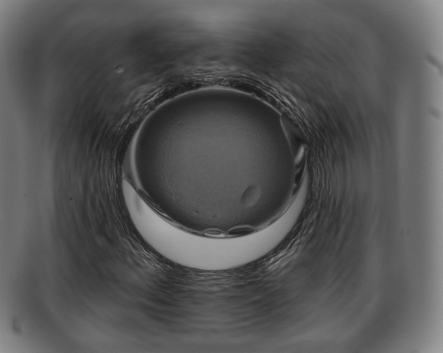X0000091851156200709121305