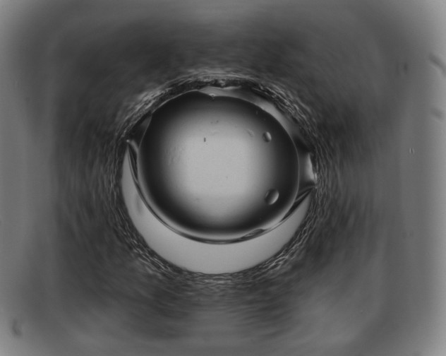 X0000091851157200709121305