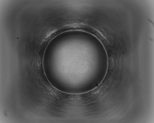 X0000091851158200709121305