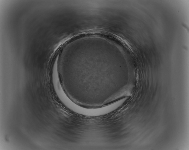 X0000091851160200709121305