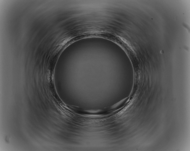 X0000091851161200709121305