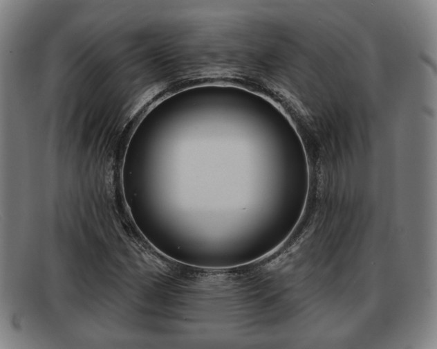 X0000091851162200709121305