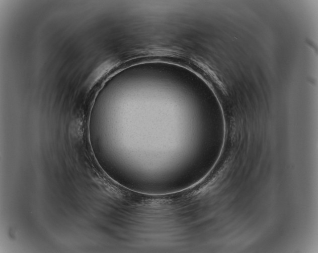 X0000091851163200709121305