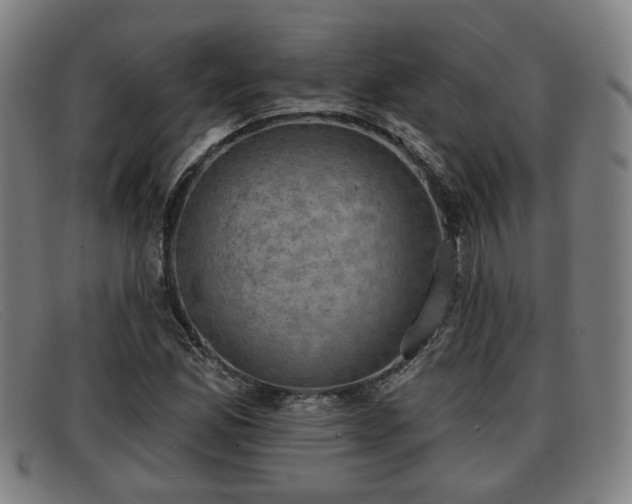 X0000091851165200709121305