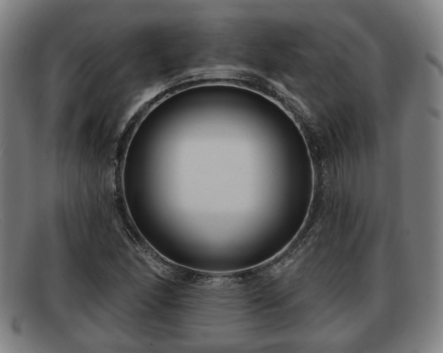X0000091851166200709121305