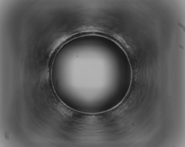 X0000091851167200709121305
